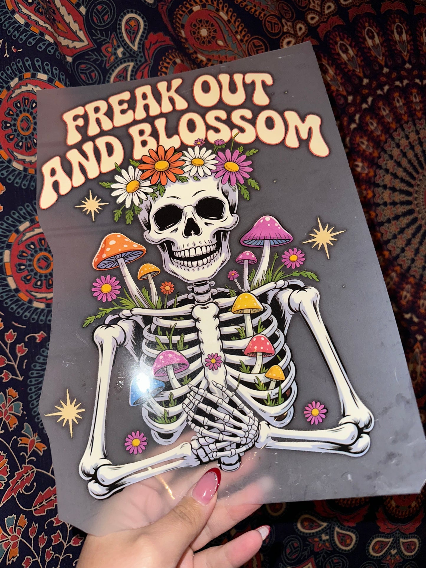 Freak Out And Blossom - C3