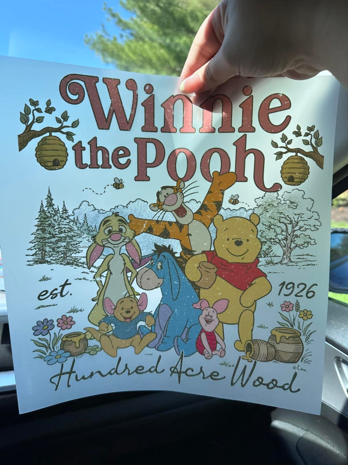 Winnie The Pooh