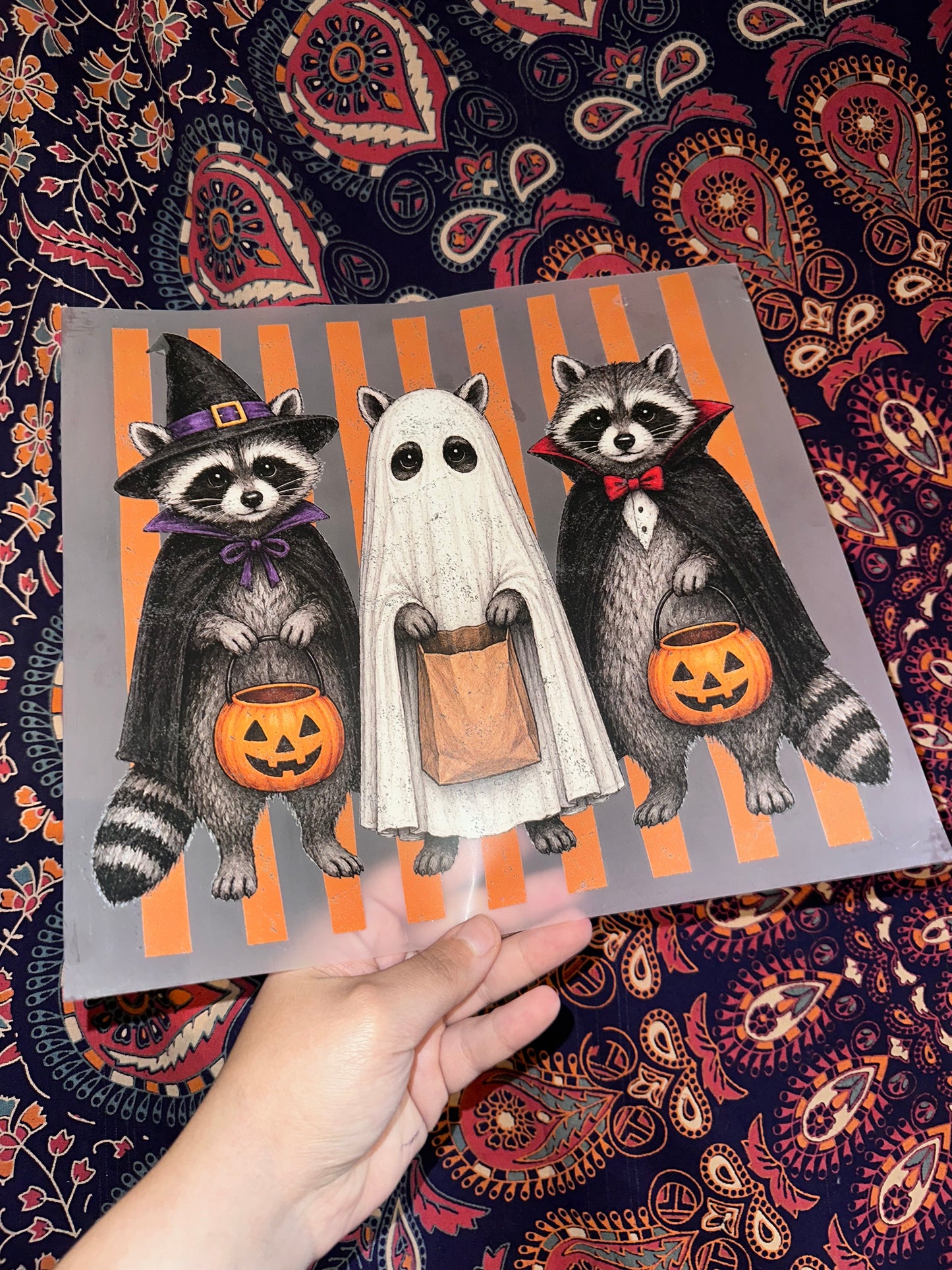 Halloween Raccoons