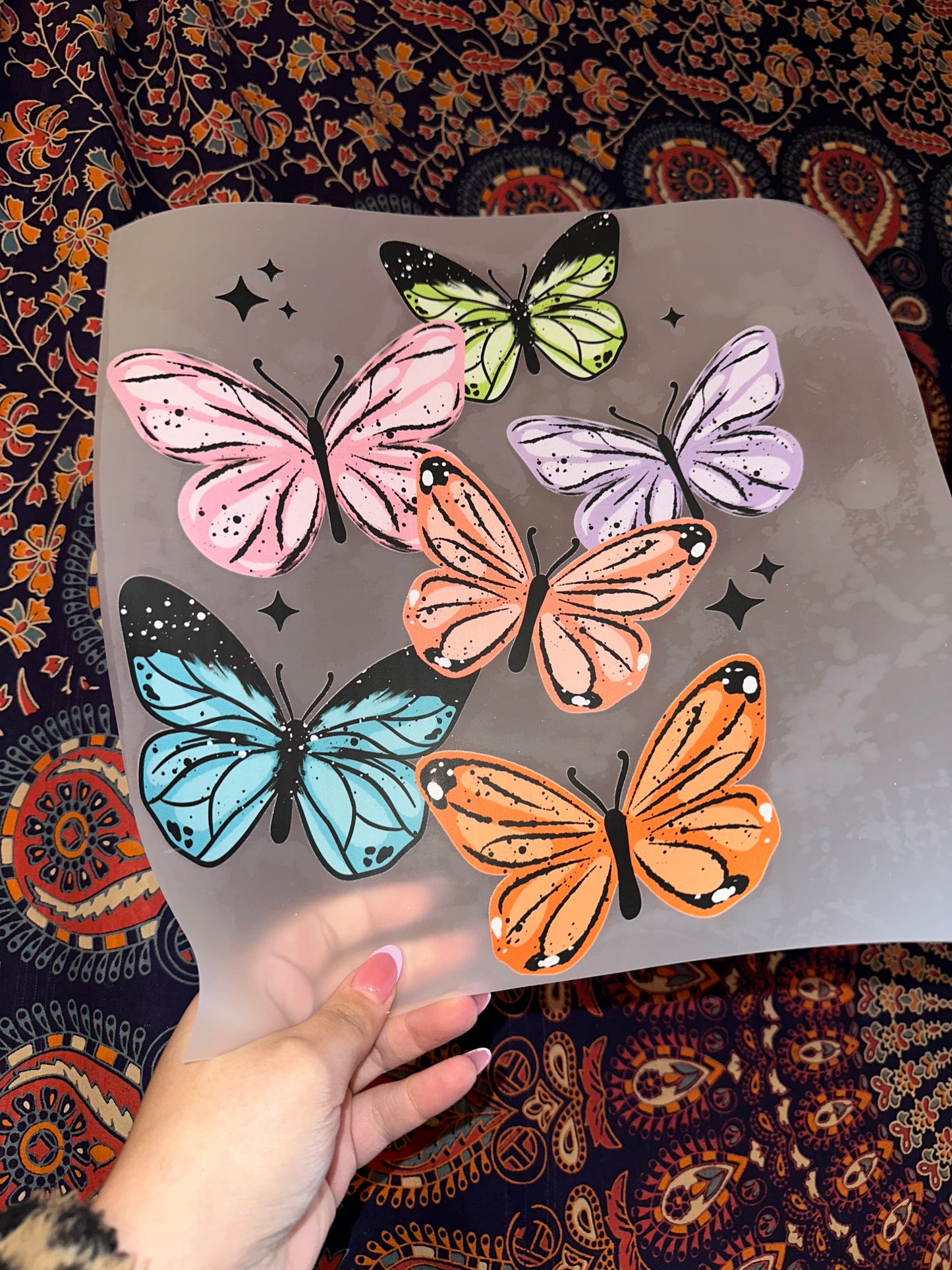 Butterflies - E18