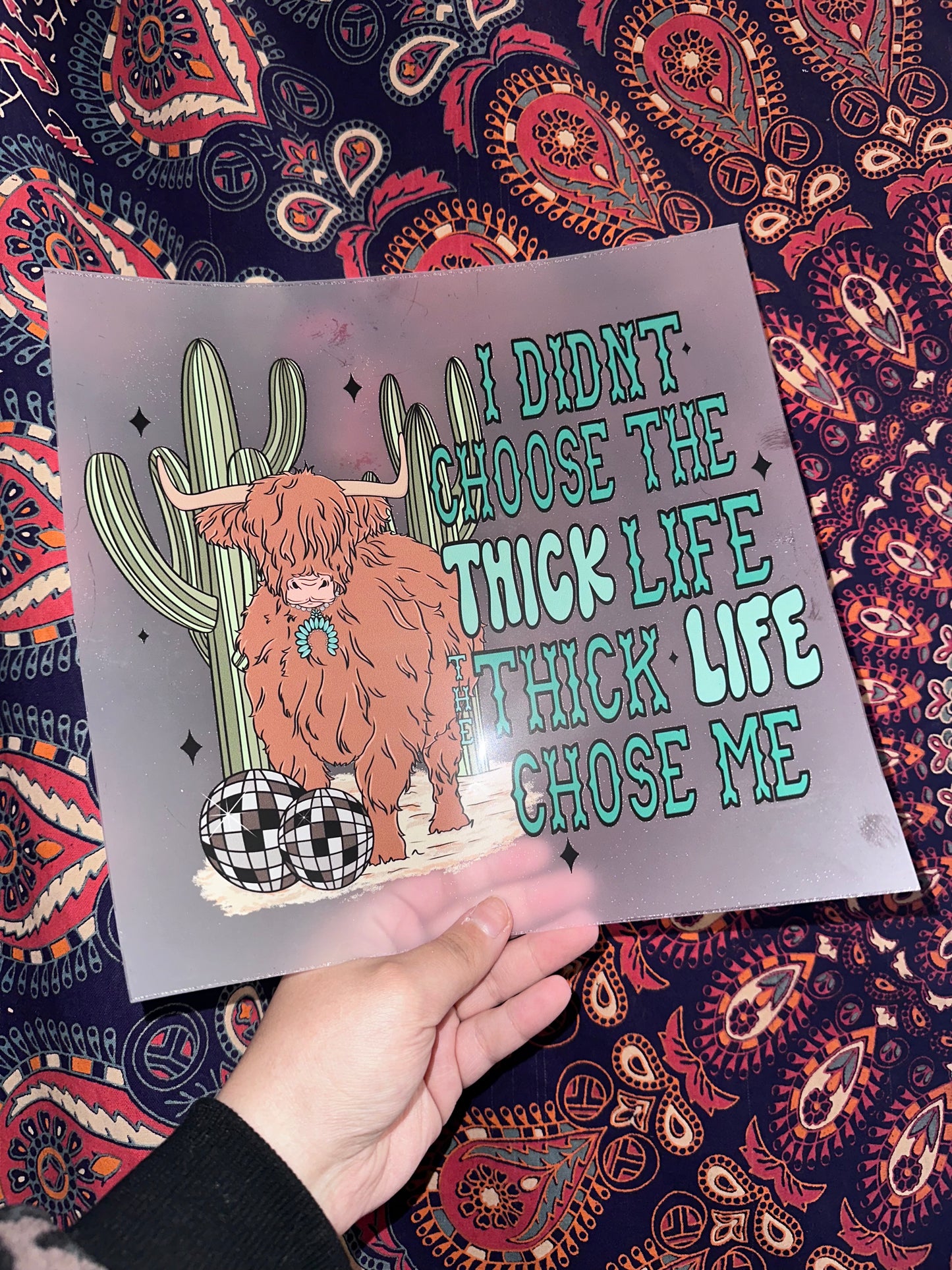 I Didn’t Choose The Thick Life, Thick Life Chose Me
