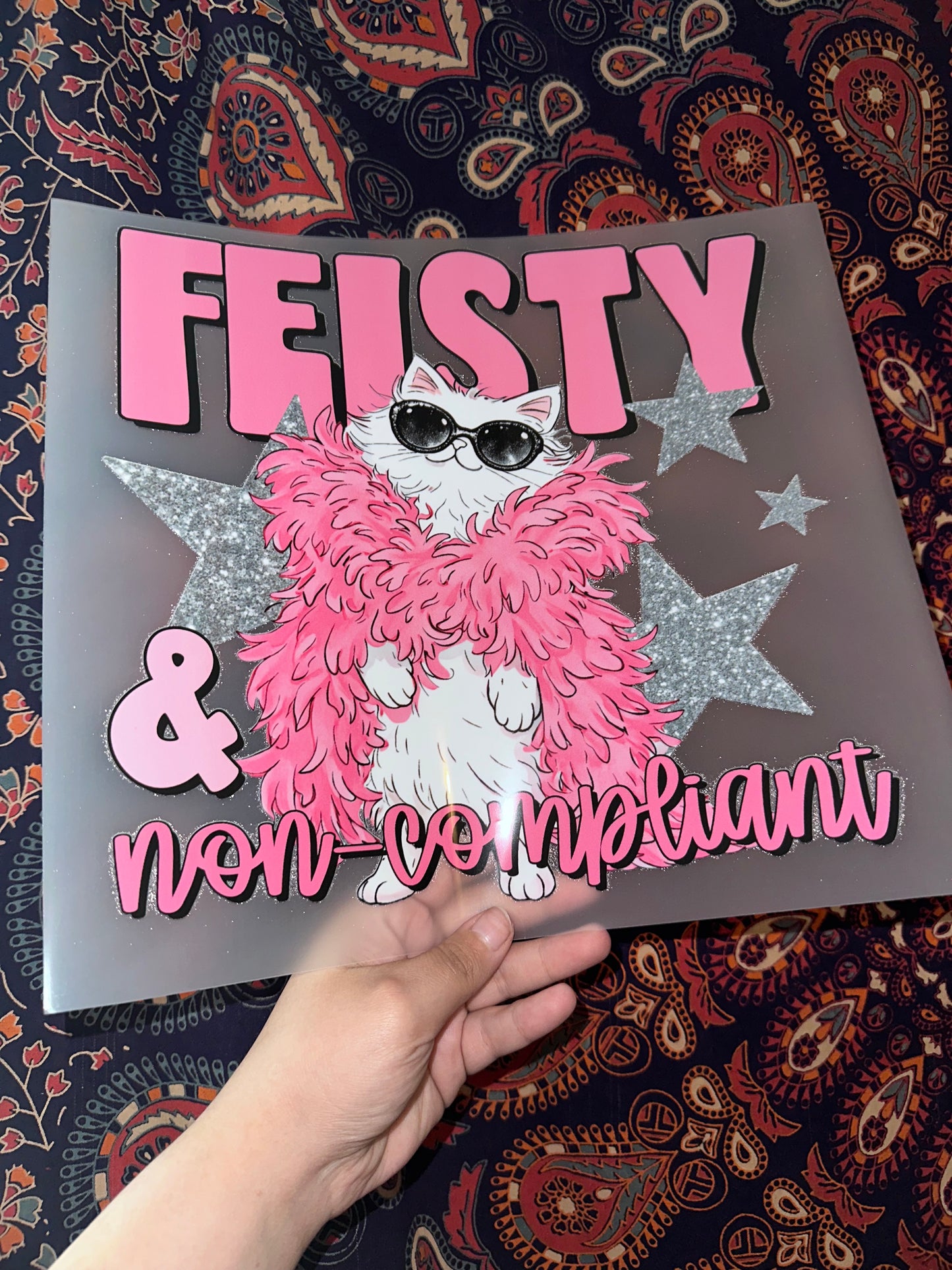 Feisty & Non Compliant