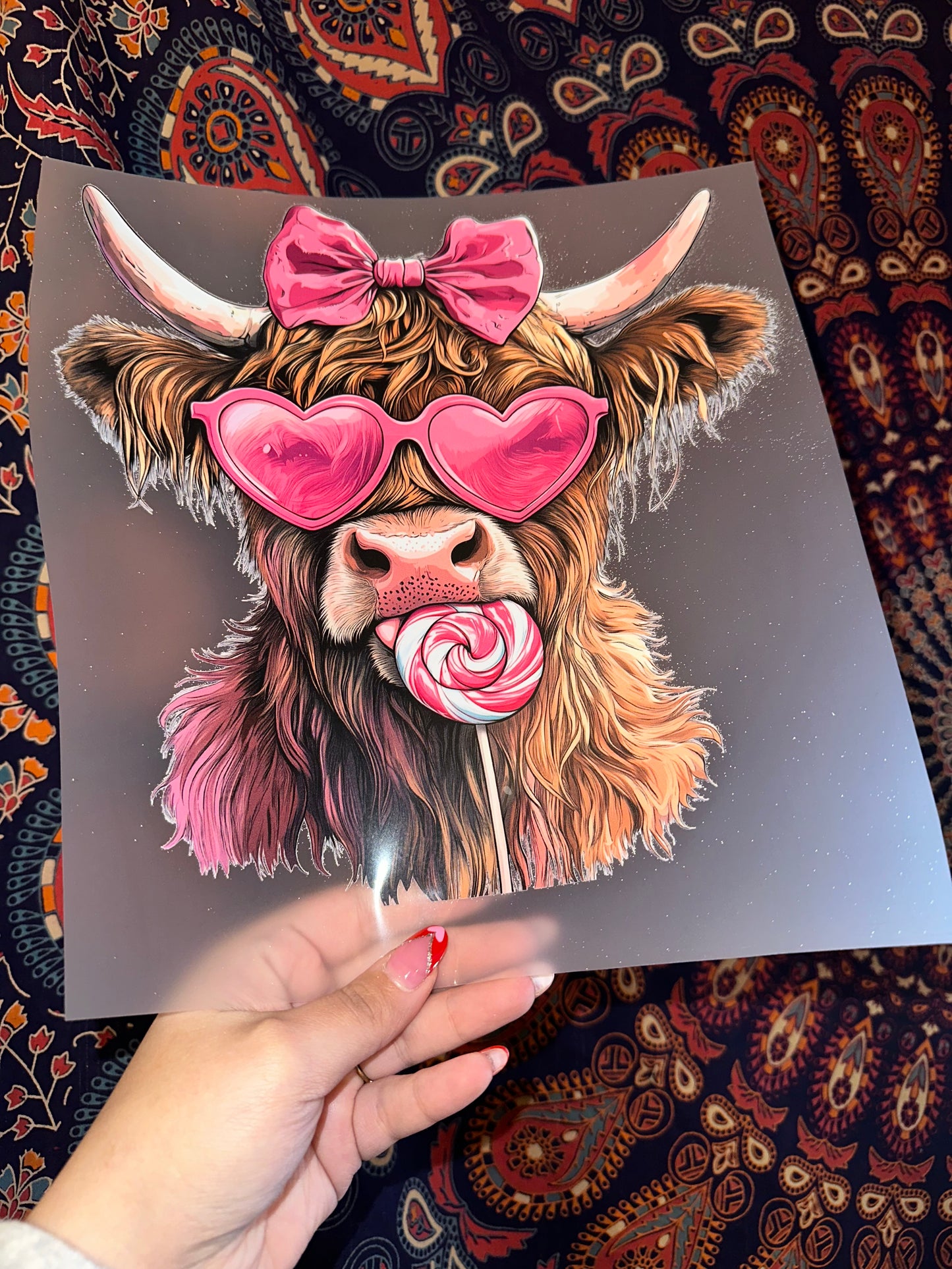 Highland Cow Love