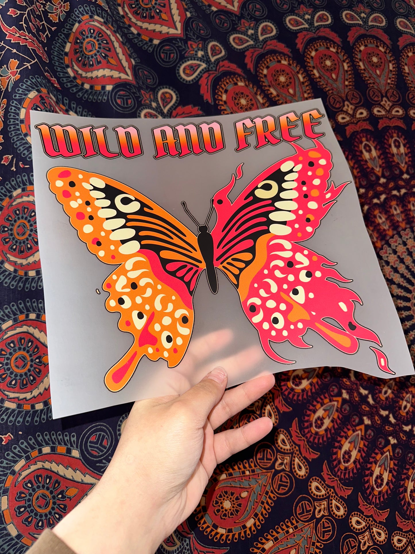 Wild And Free- C1