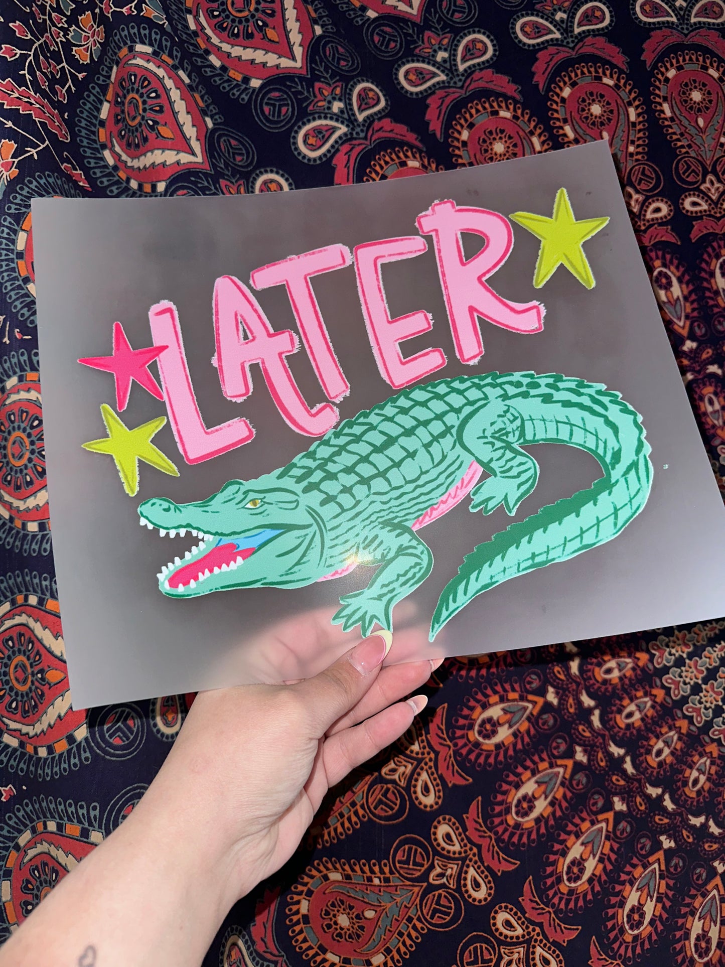 Later Gator Stars