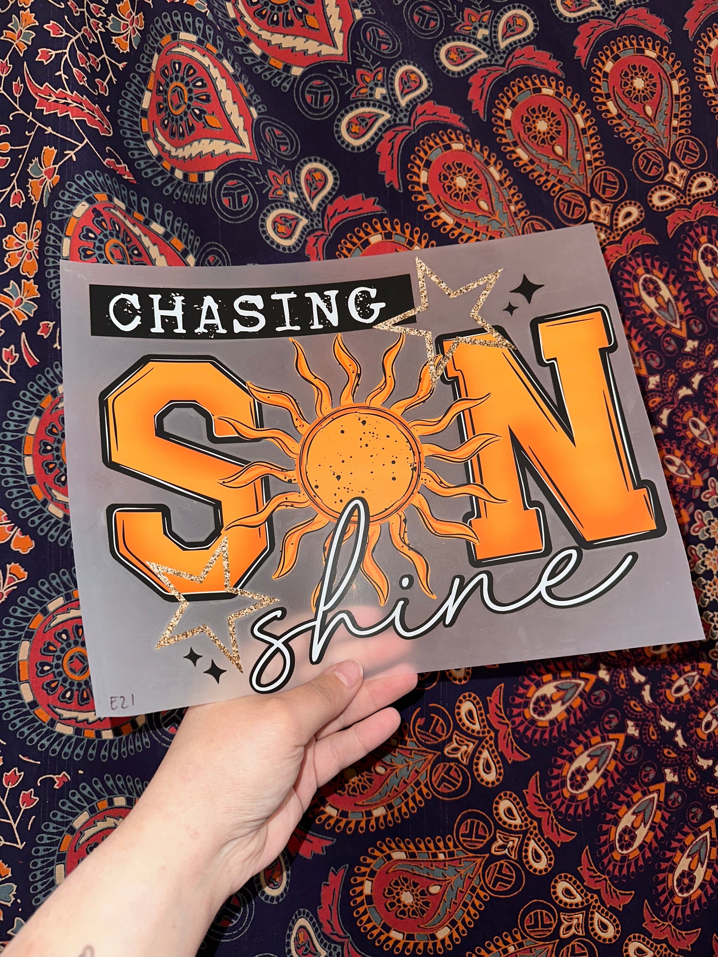 Chasing Sunshine- E21