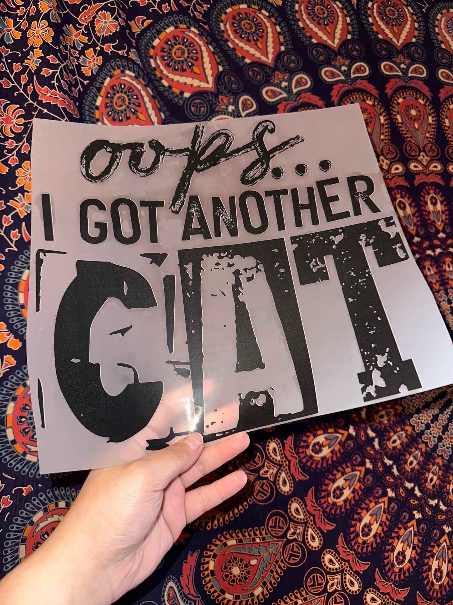Oops… I Got Another Cat- B116