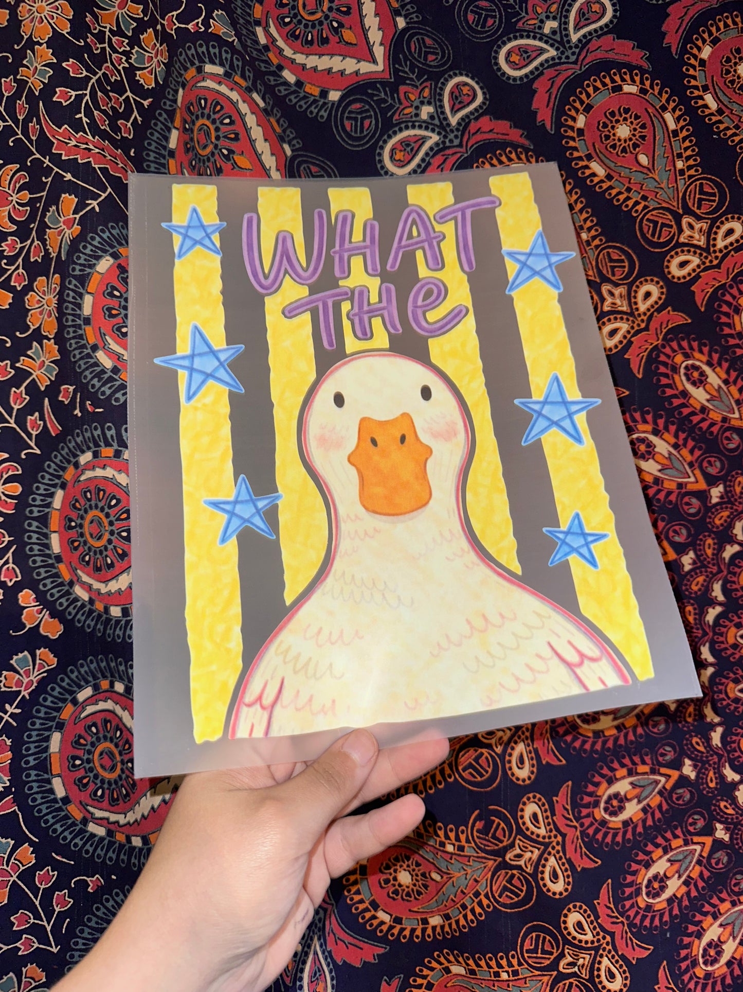 What The Duck