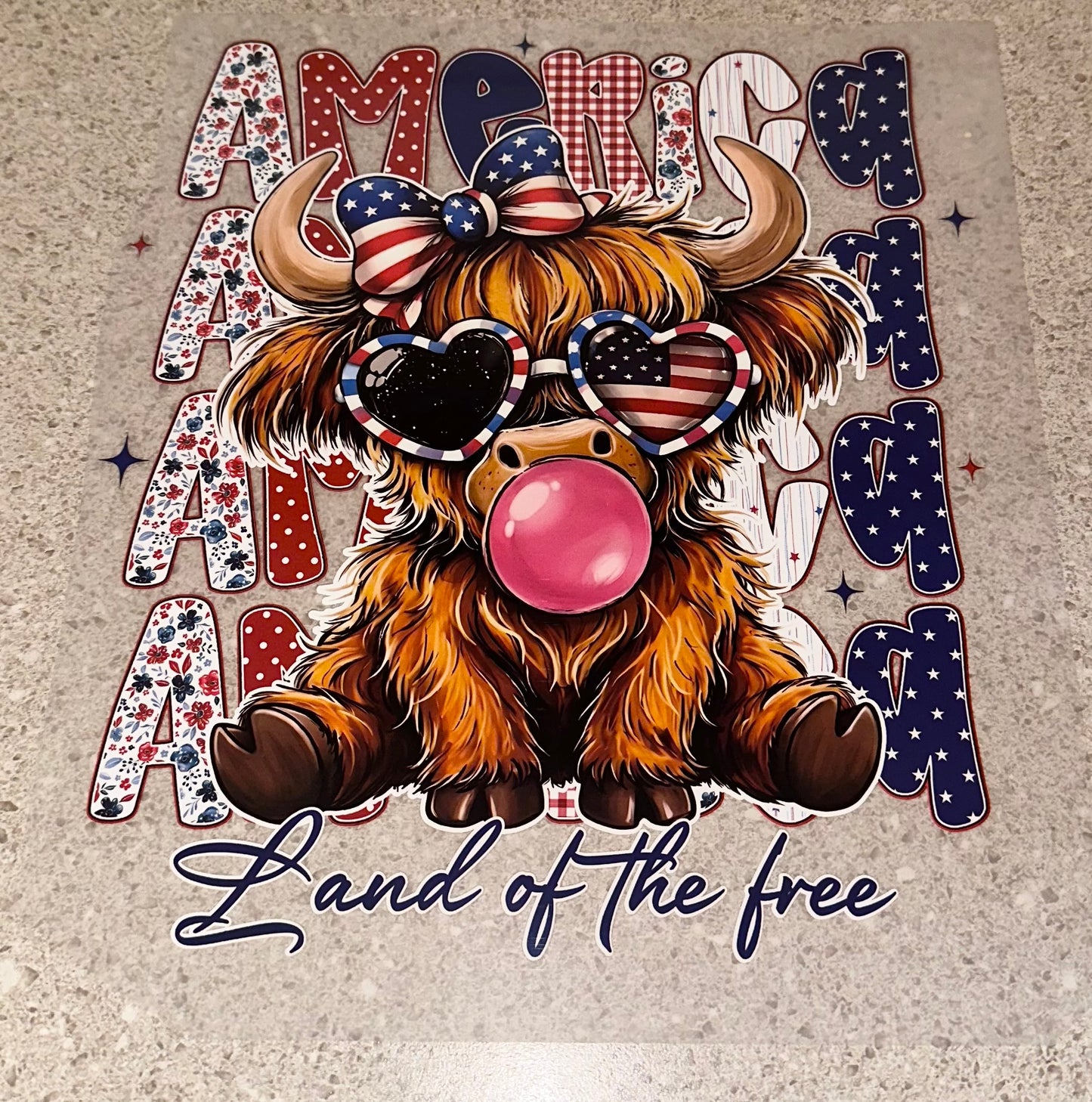 America Land Of The Free