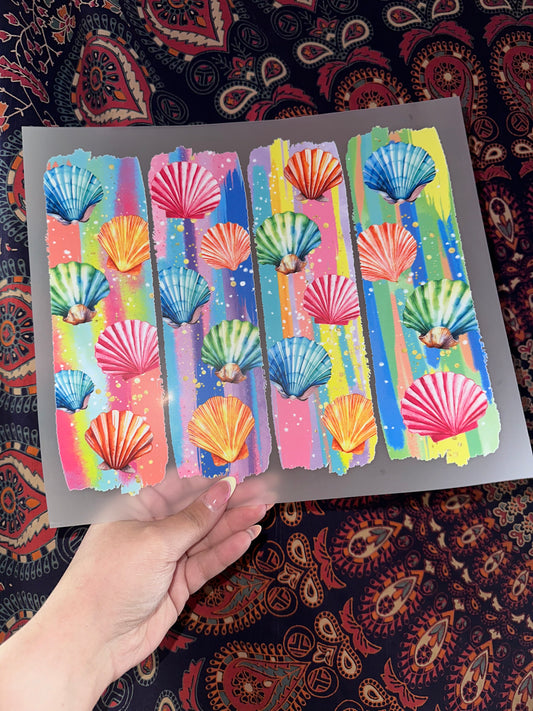 Seashells