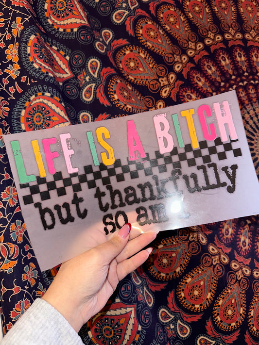 Life Is a B*tch