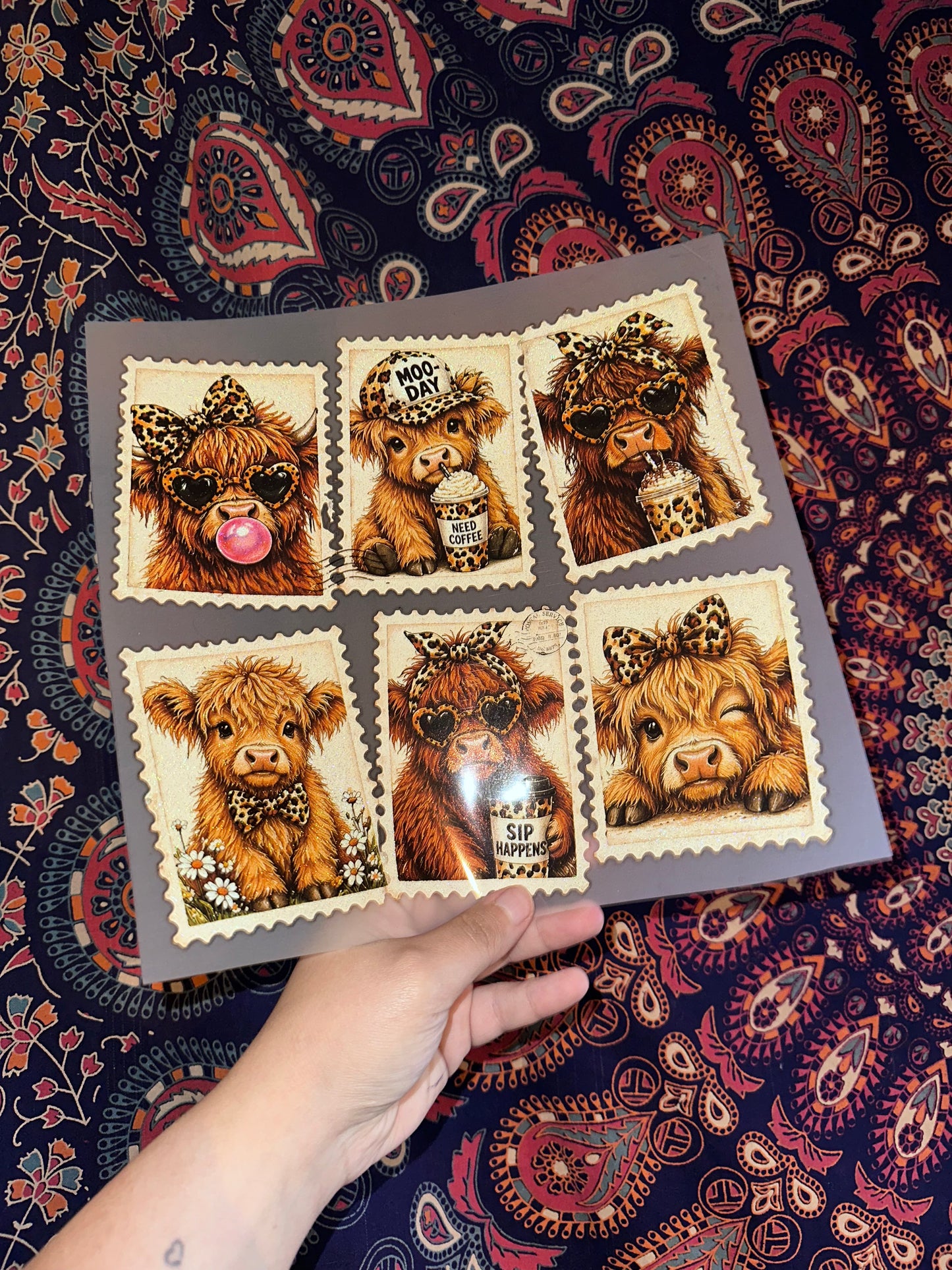 Cows w/ Bows