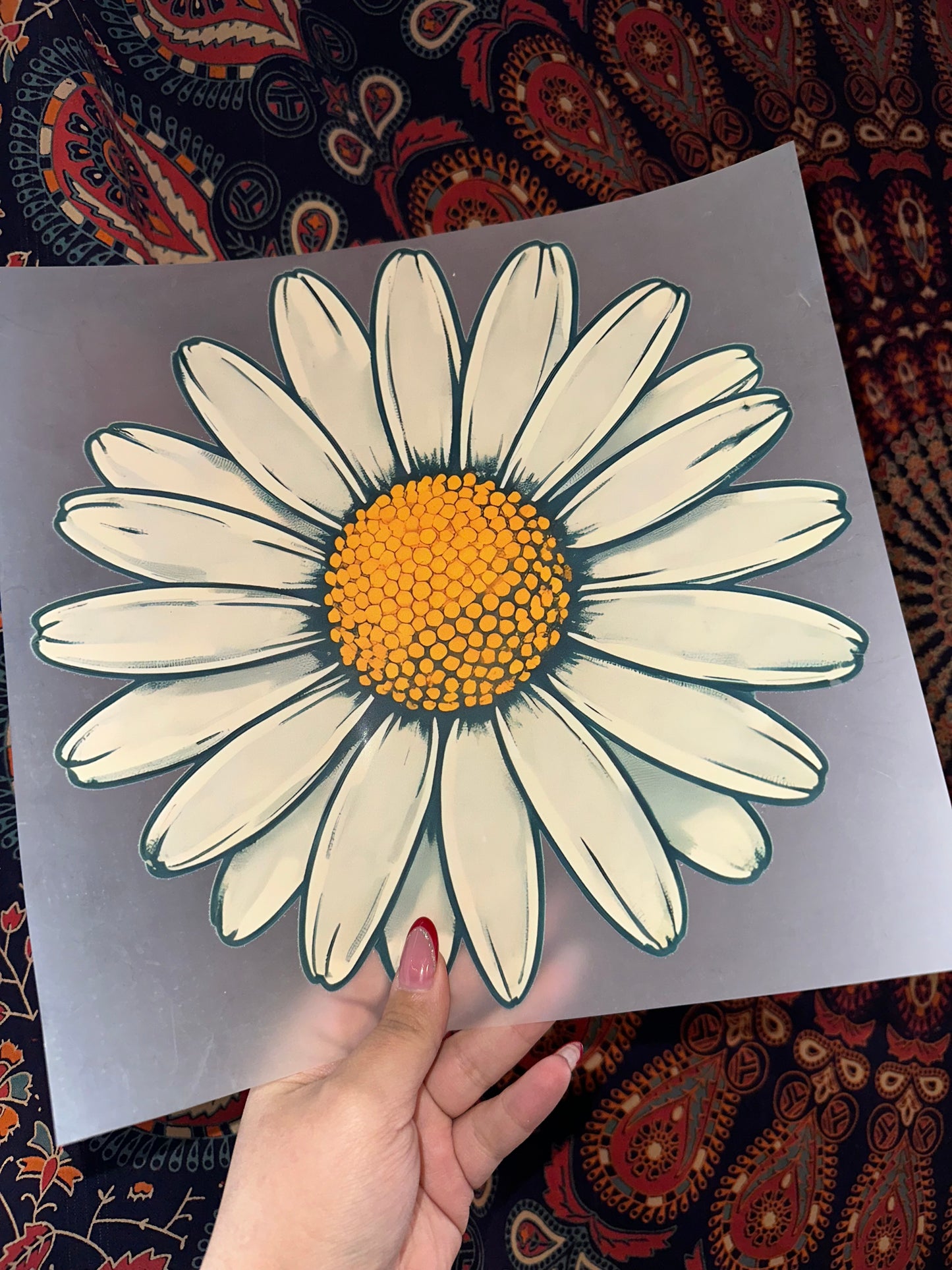 Daisy