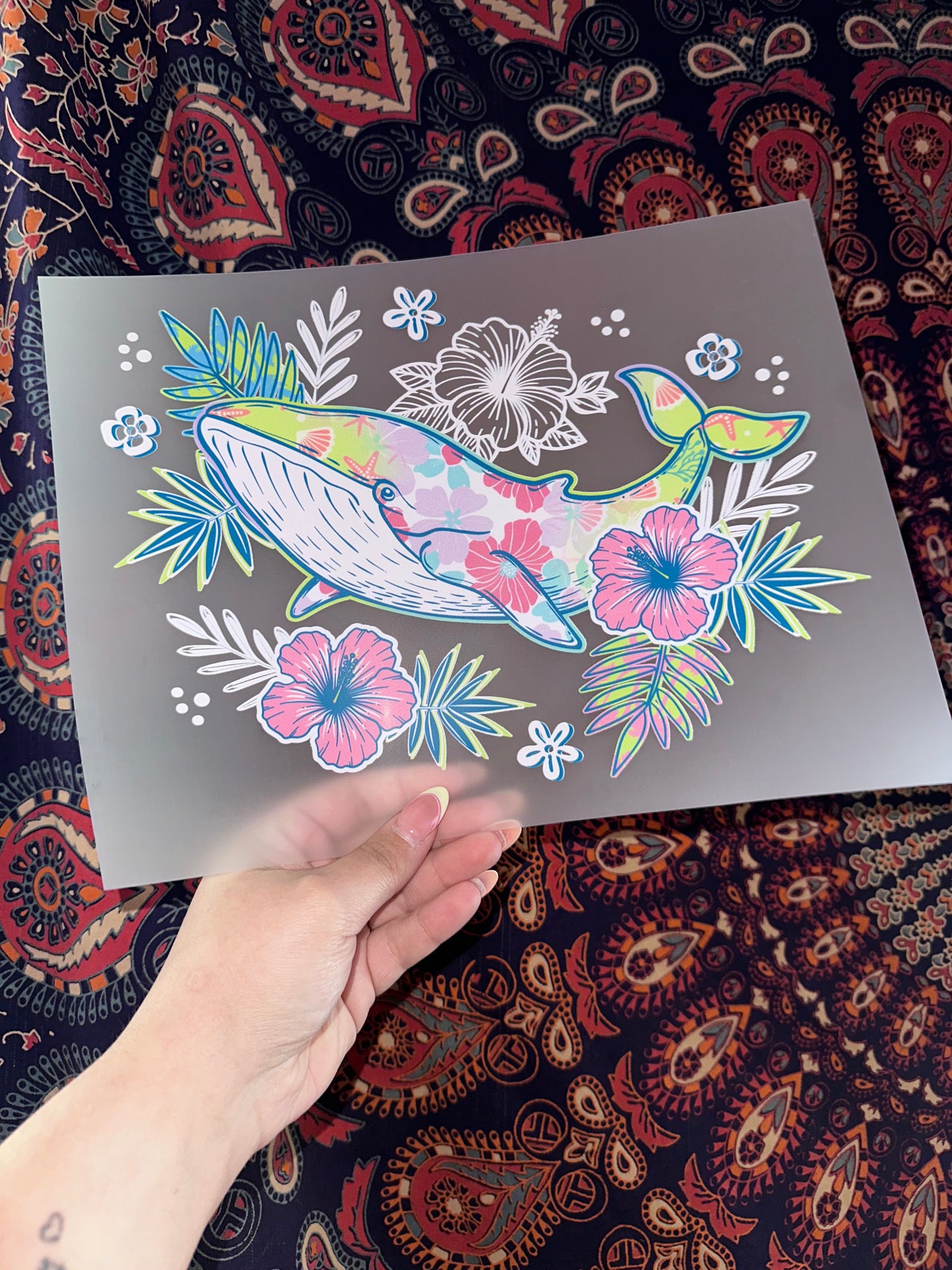 Pastel Whale