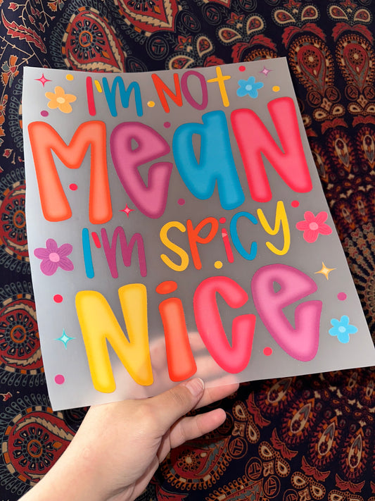 I’m Not Mean I’m Spicy Nice -H
