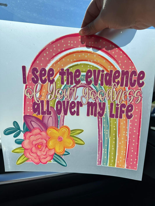 I See The Evidence