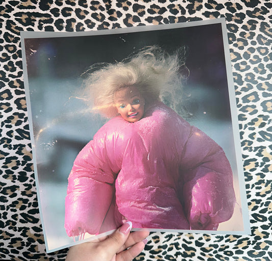 Freezing Barbie- E