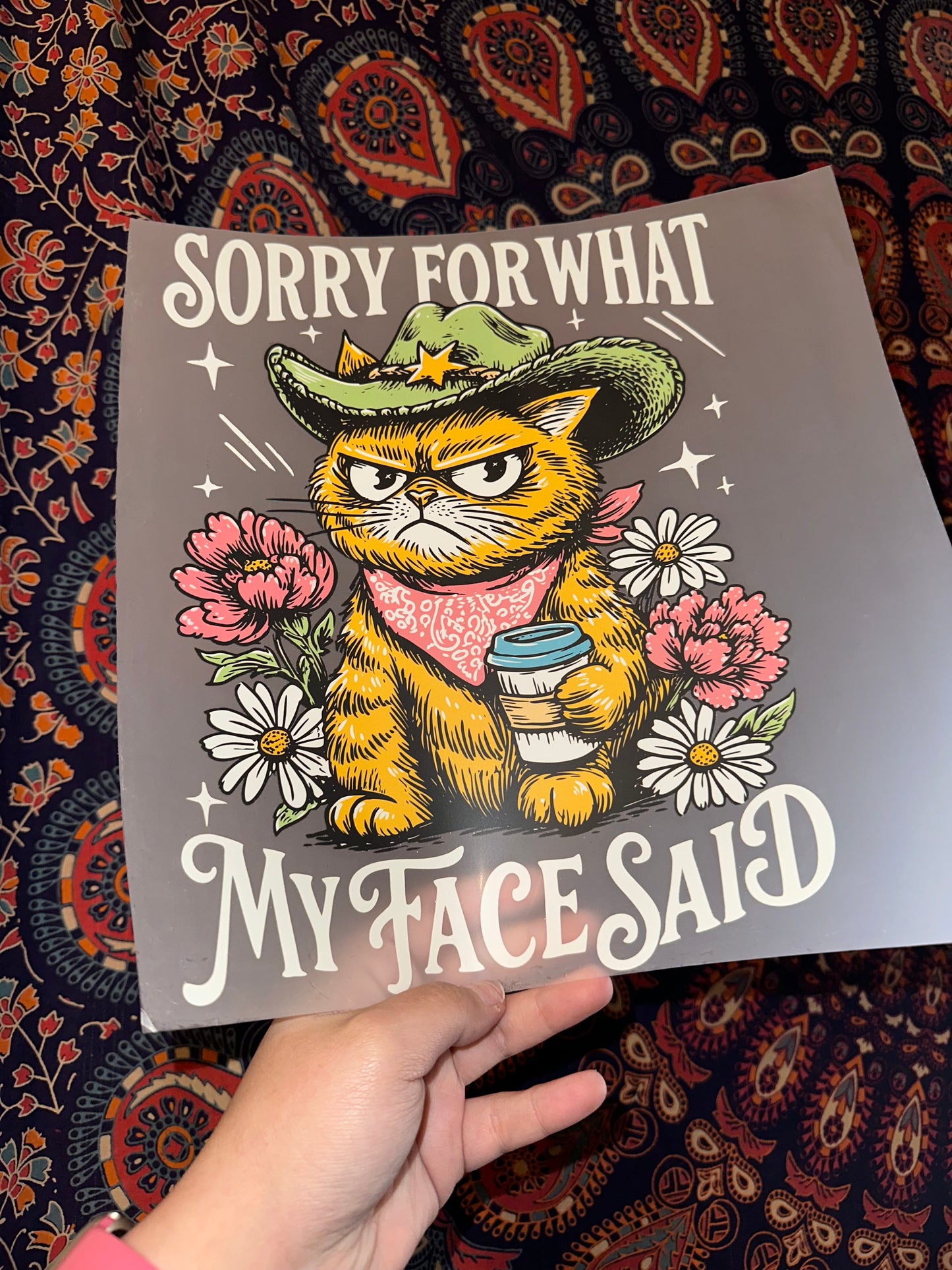 Sorry For What My Face Said