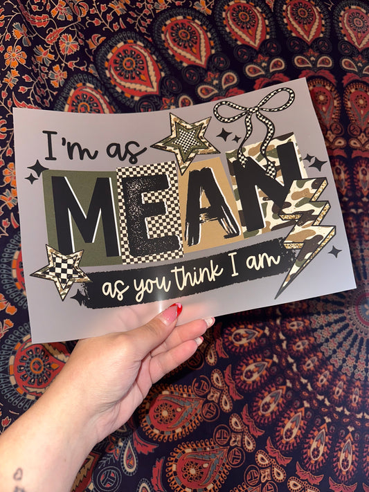 I’m As Mean As You Think I Am- A1