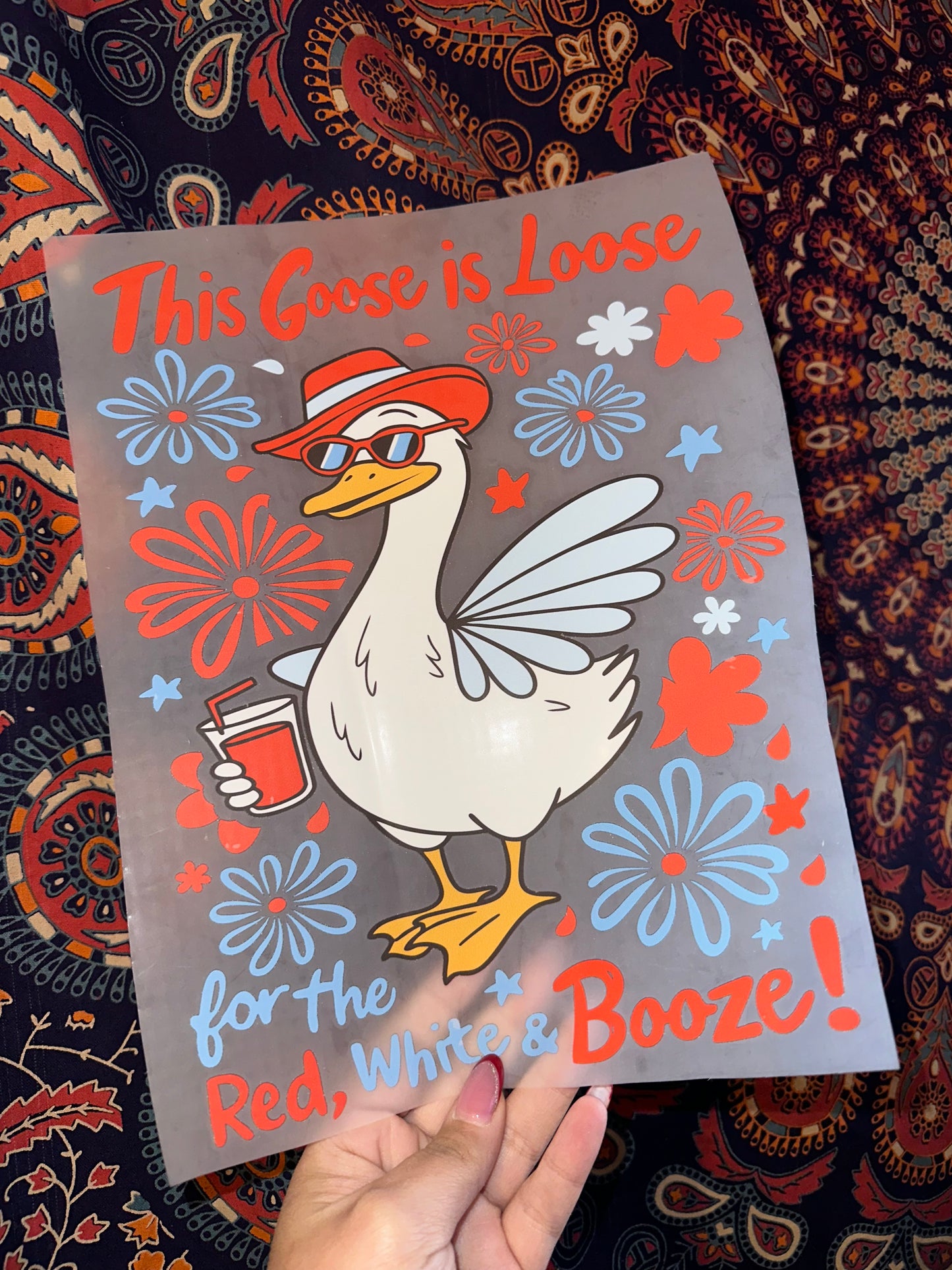 This Goose is Loose