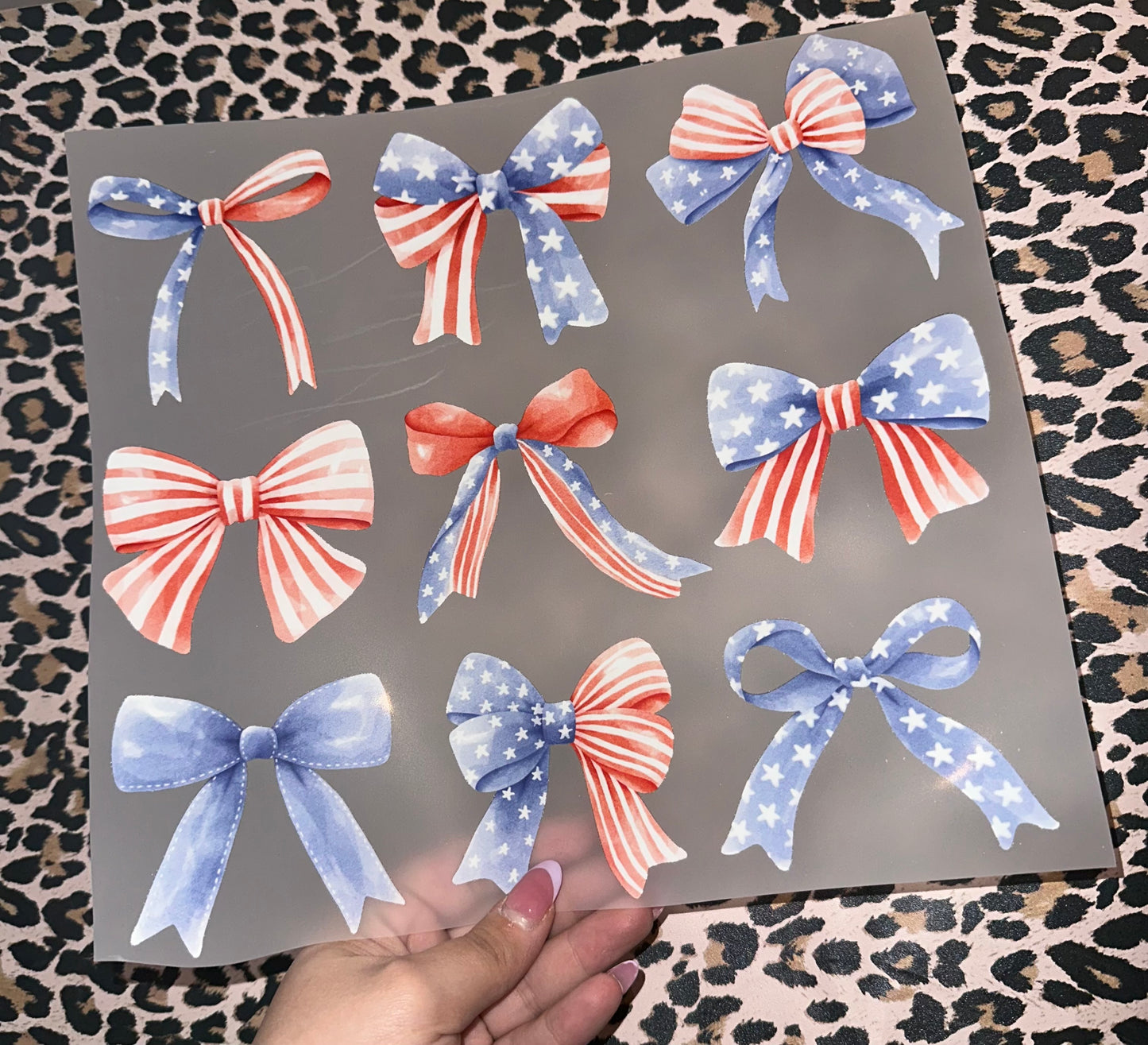 Coquette USA 5 - H