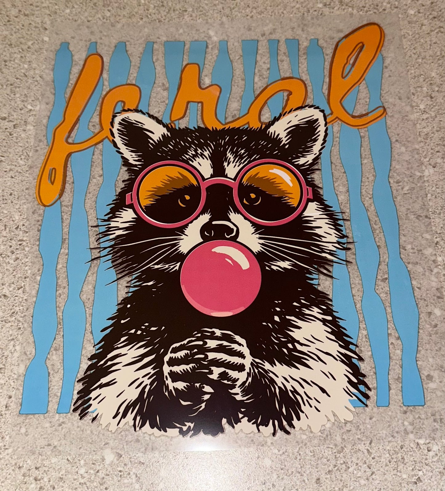 Feral Raccoon