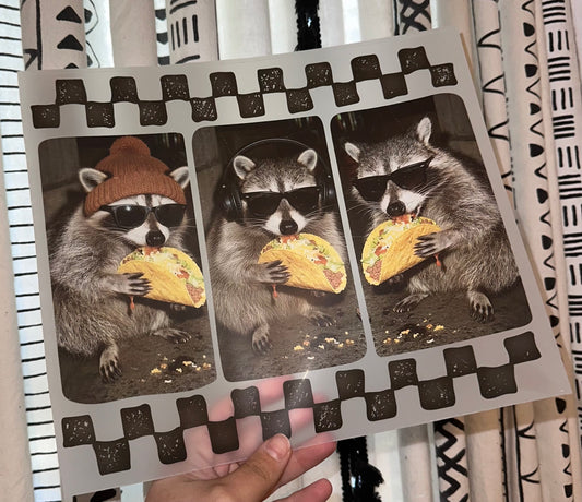 Taco Raccoon- D22