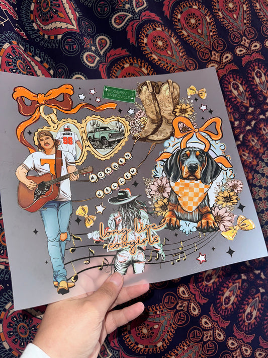 Wallen- F117