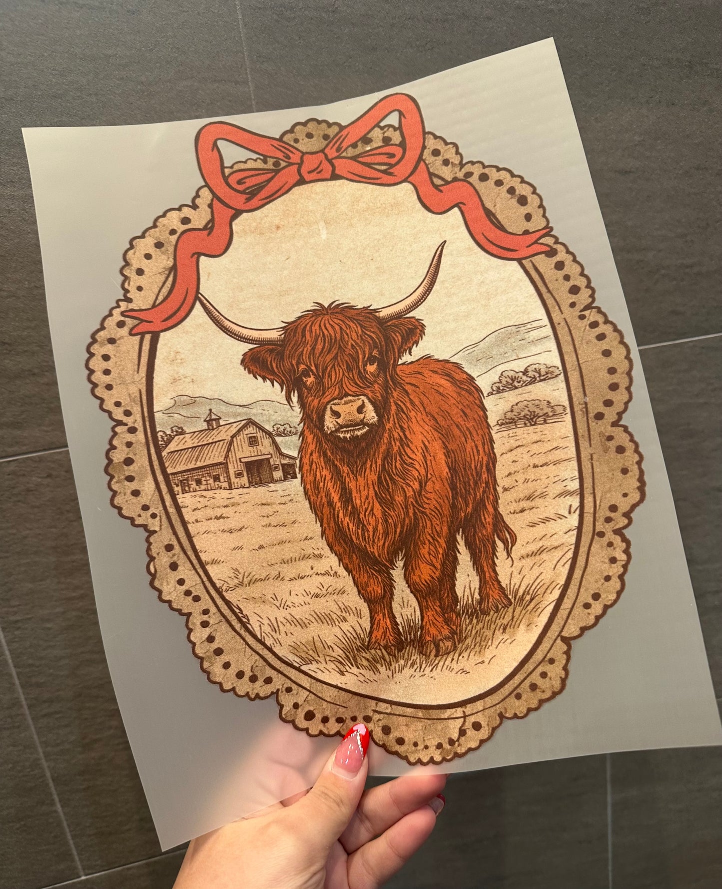 Coquette Highland Cow