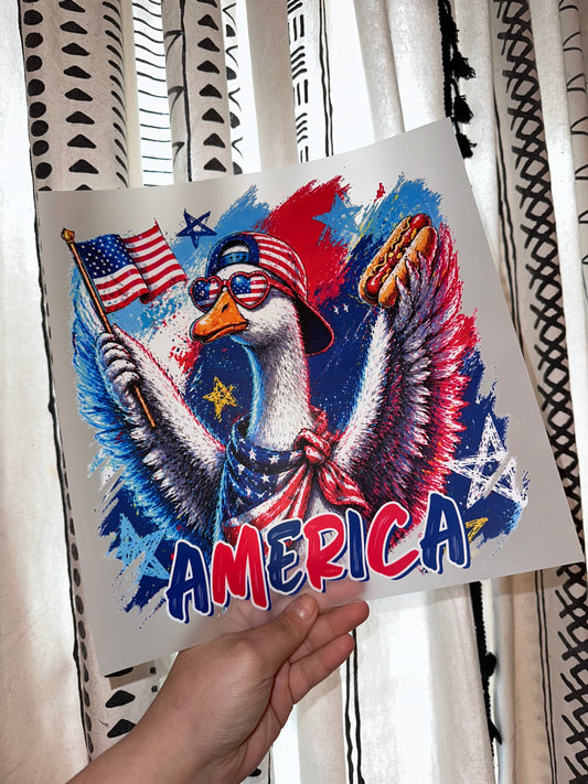 America