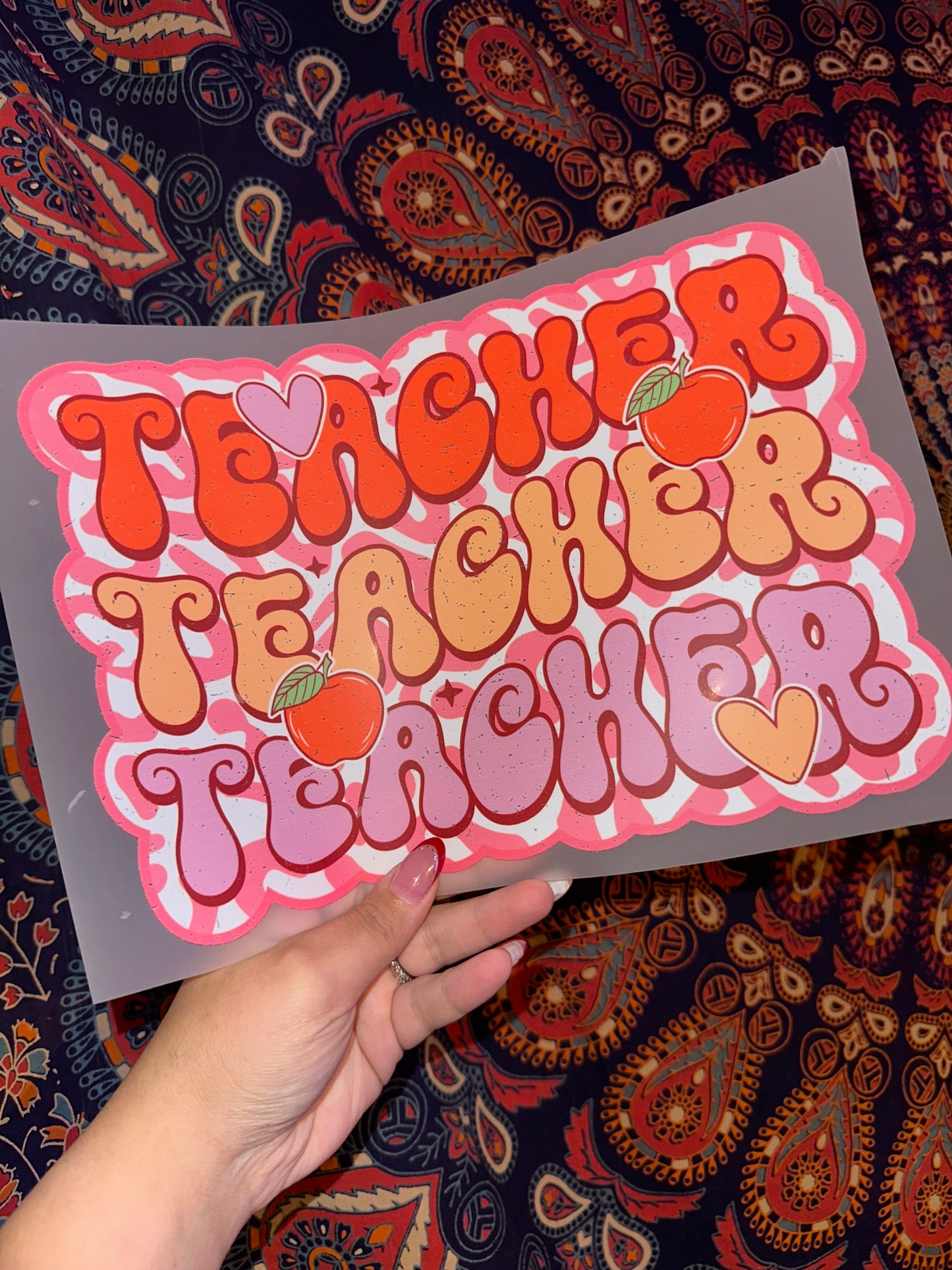 Teacher Teacher Teacher - E