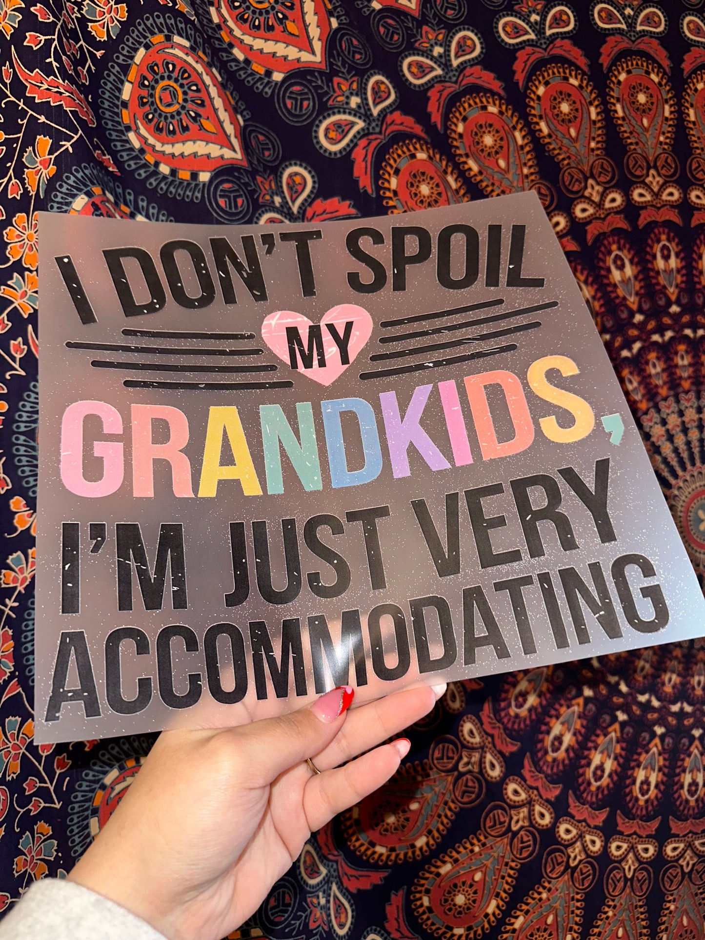 I Don’t Spoil My Grandkids- F