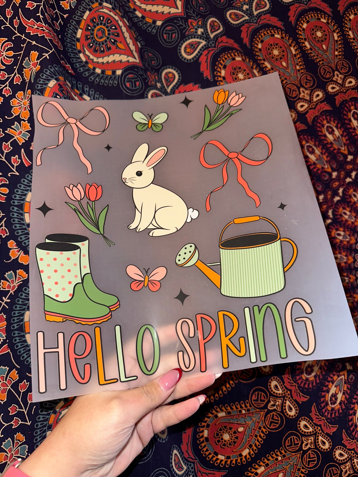 Hello Spring- D