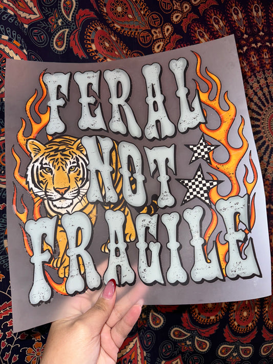 Feral Not Fragile - C