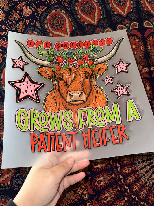The Sweetest Fruit Grows From A Patient Heifer -C