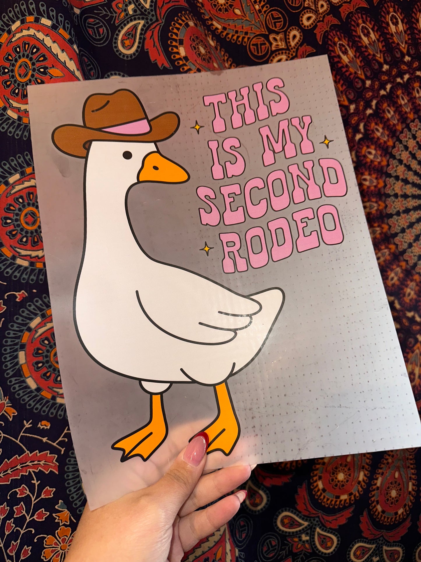 This is My Second Rodeo