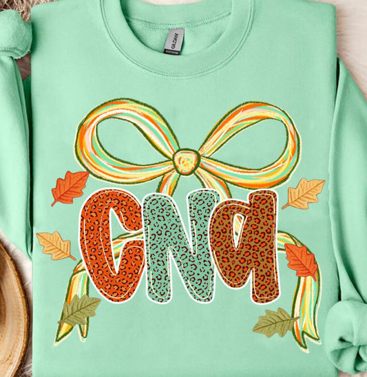 Fall CNA