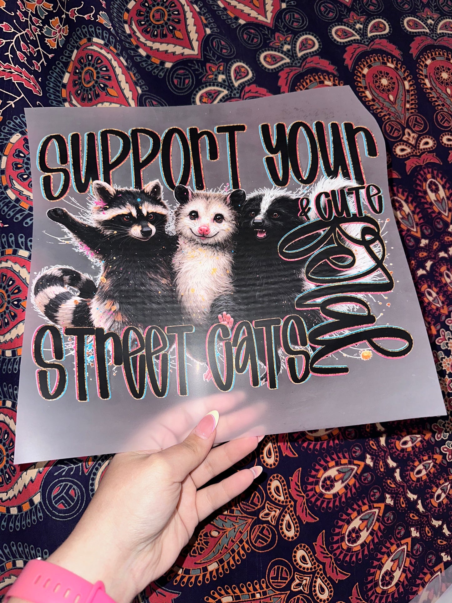 Support Your Cute & Feral Street Cats