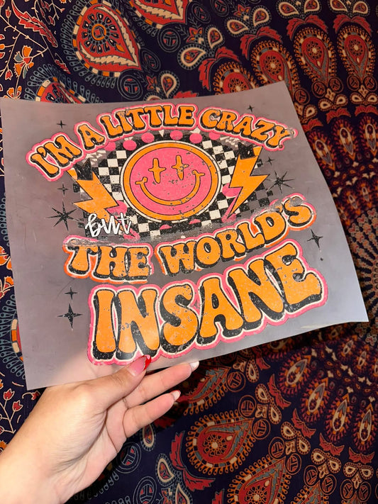 I’m A Little Crazy But The World’s Insane - E