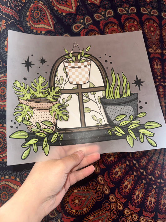 Plant On Window -A31